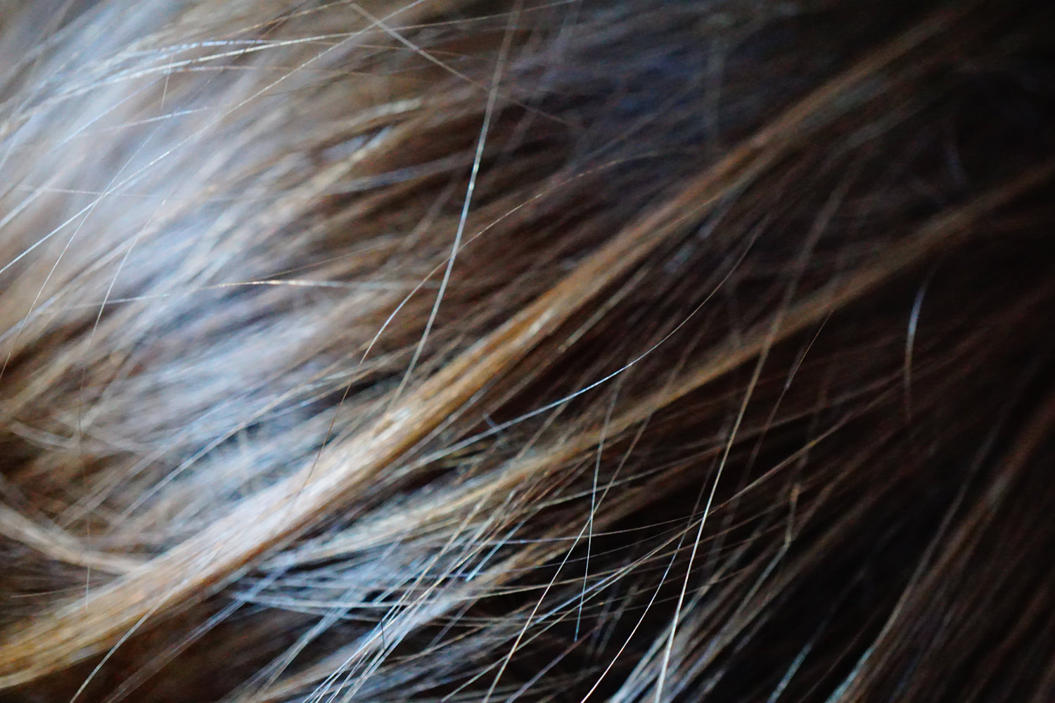 Fibra capillare capelli: guida completa