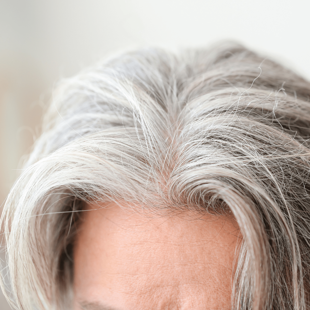 2 Fibre copri Calvizie da 27.5gr | Grigio - HairFiberPlus